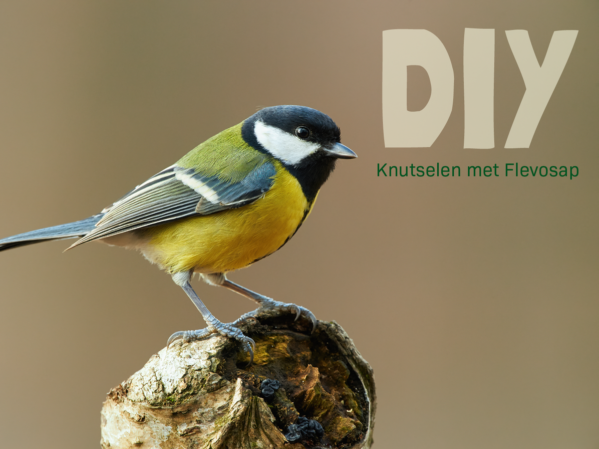 Vogelvoederhuisje header