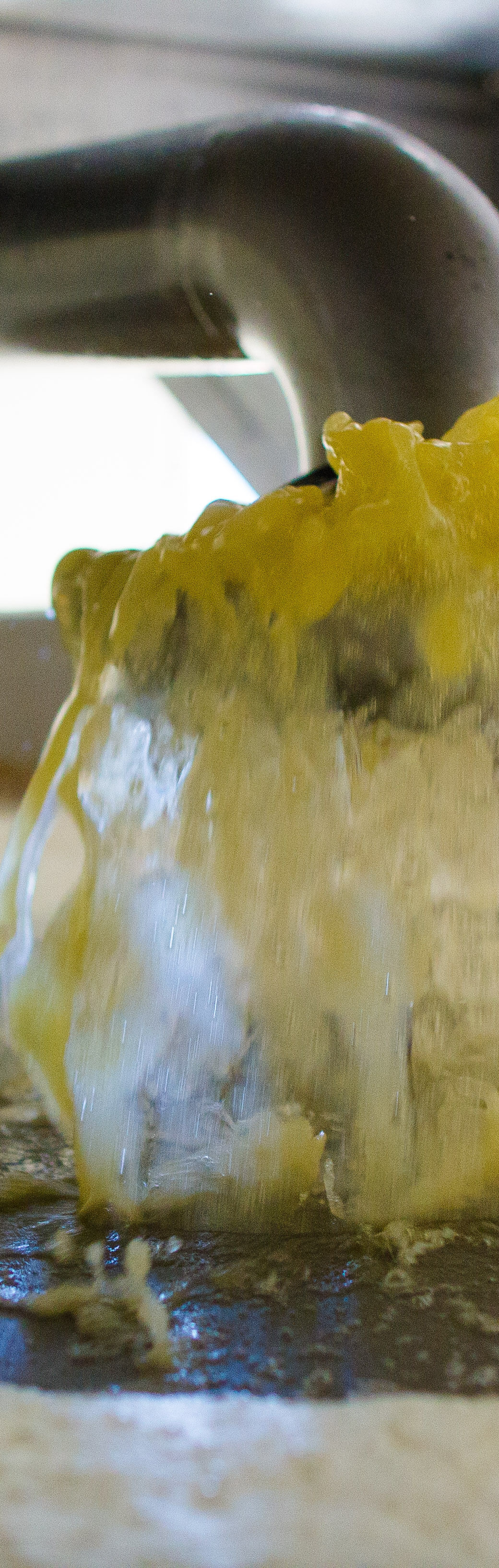 MH151001 S003